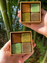 Load image into Gallery viewer, Herbal Root Revival Shampoo Bar